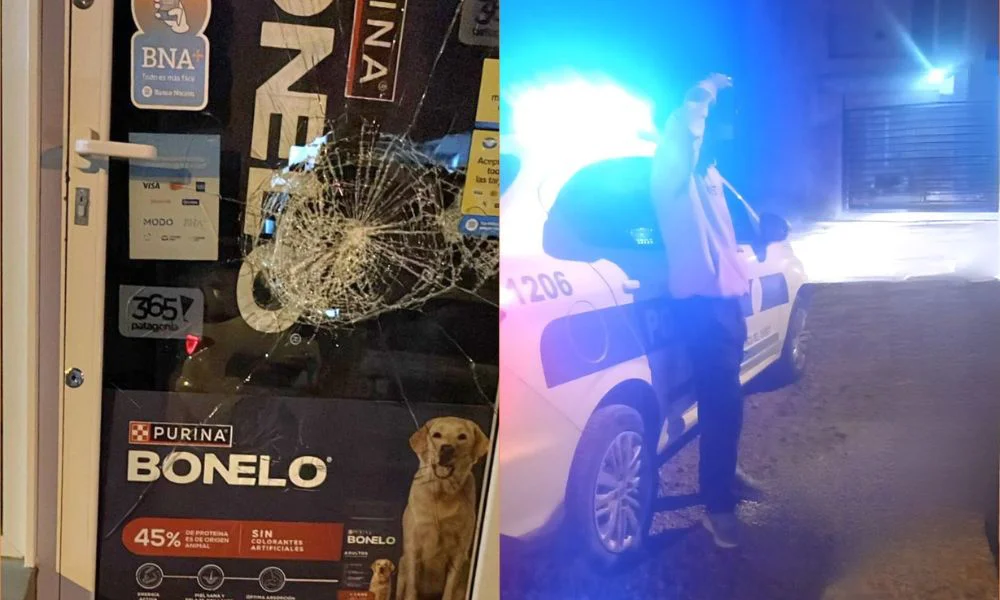 Cayó tras intentar entrar a una forrajería en Trelew