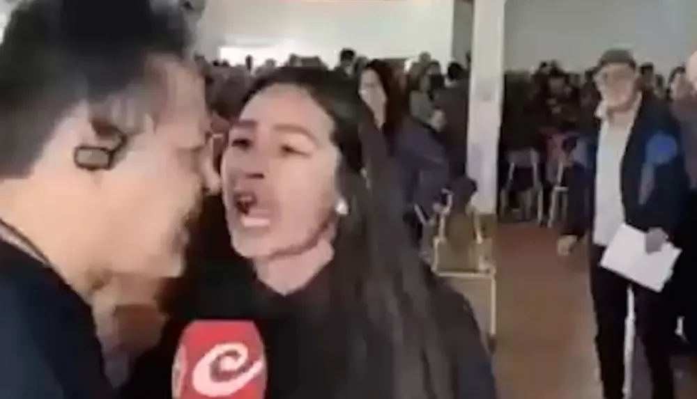 andis-auditora-violenta