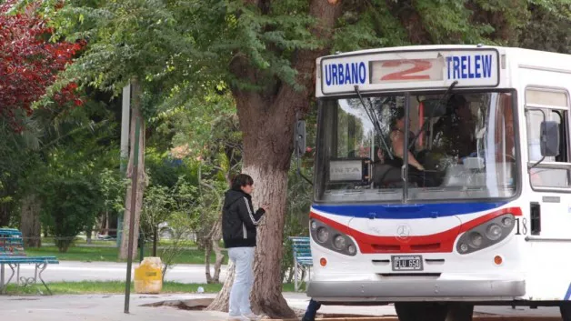 ¿CUÁNTO COSTARÁ EL NUEVO BOLETO DE COLECTIVO?