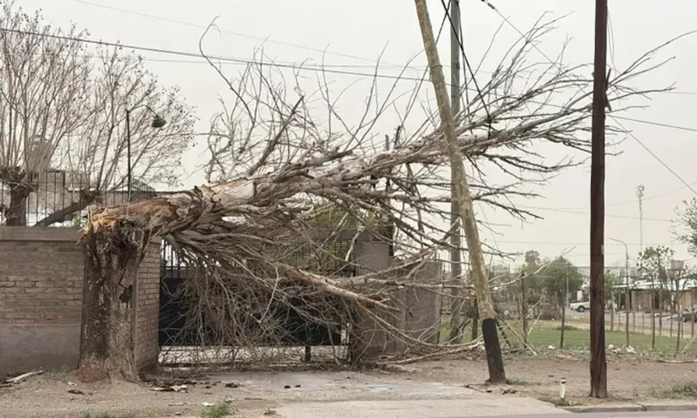 temporal en Mendoza