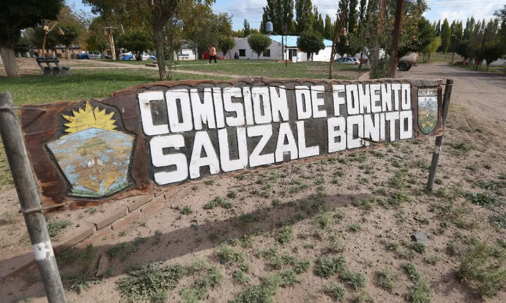 Sauzal Bonito