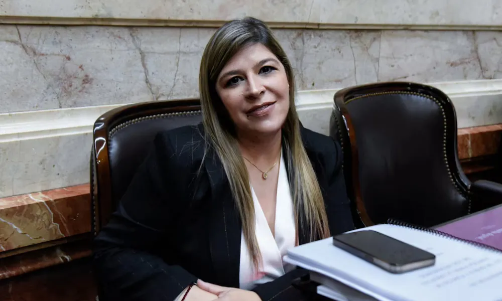 diputada Verónica Razzini