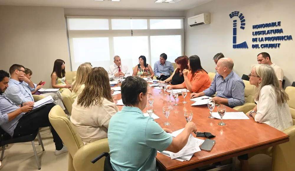 plenario de comisiones