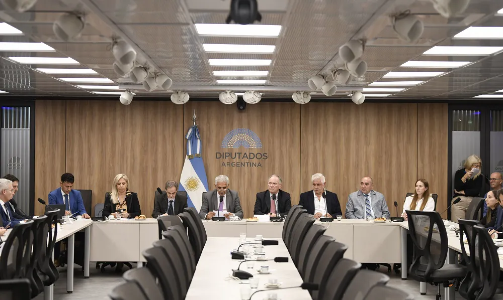 Diputados debaten el RIGI con foco en la minería