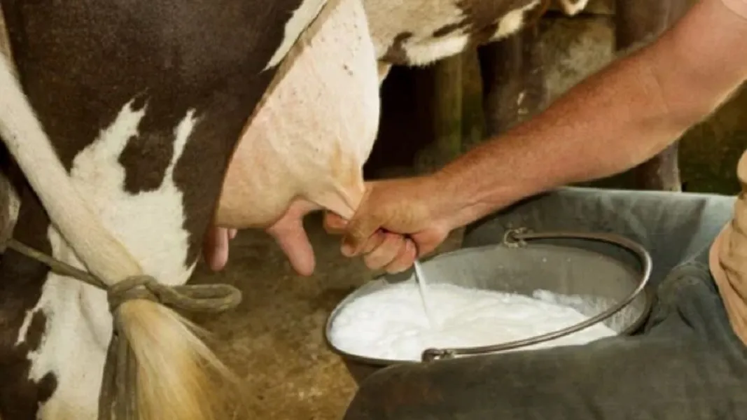 Leche cruda imágen ilustrativa