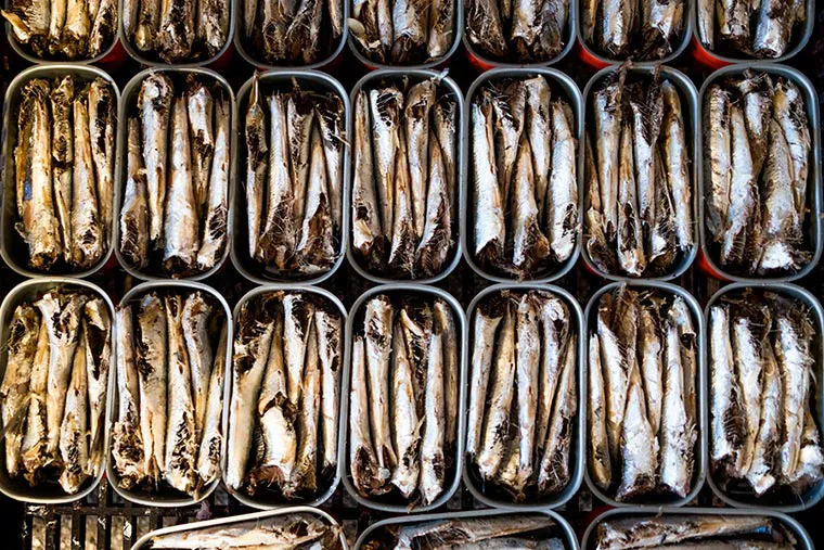 Anchoítas patagonicas procesadas en Mar del Plata