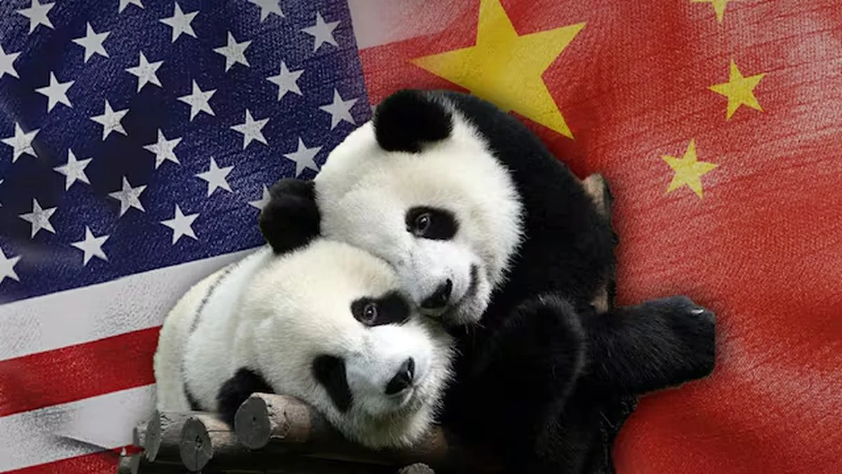 Panda Gigante