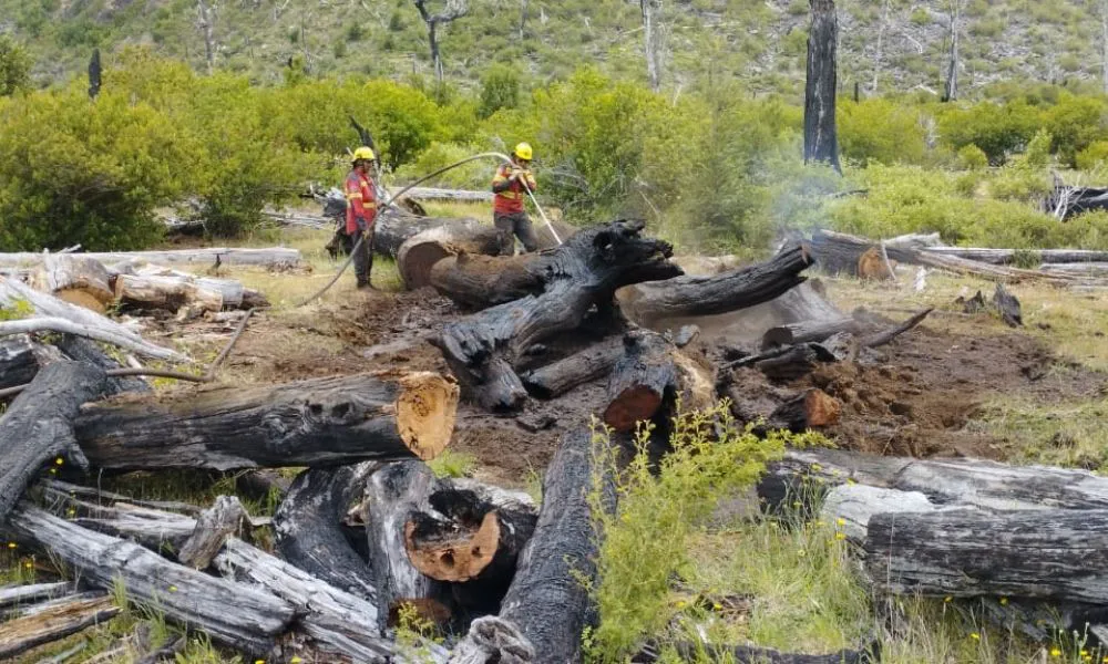 Contienen sectores del incendio en El turbio