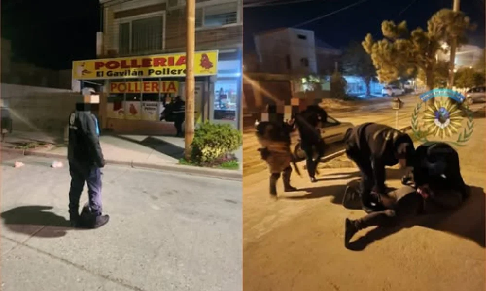 Robo en una pollería