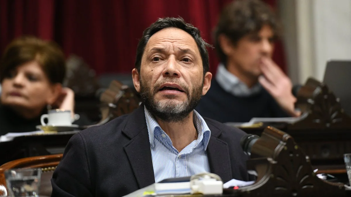 Maximiliano Ferraro. Foto X @DiputadosAR