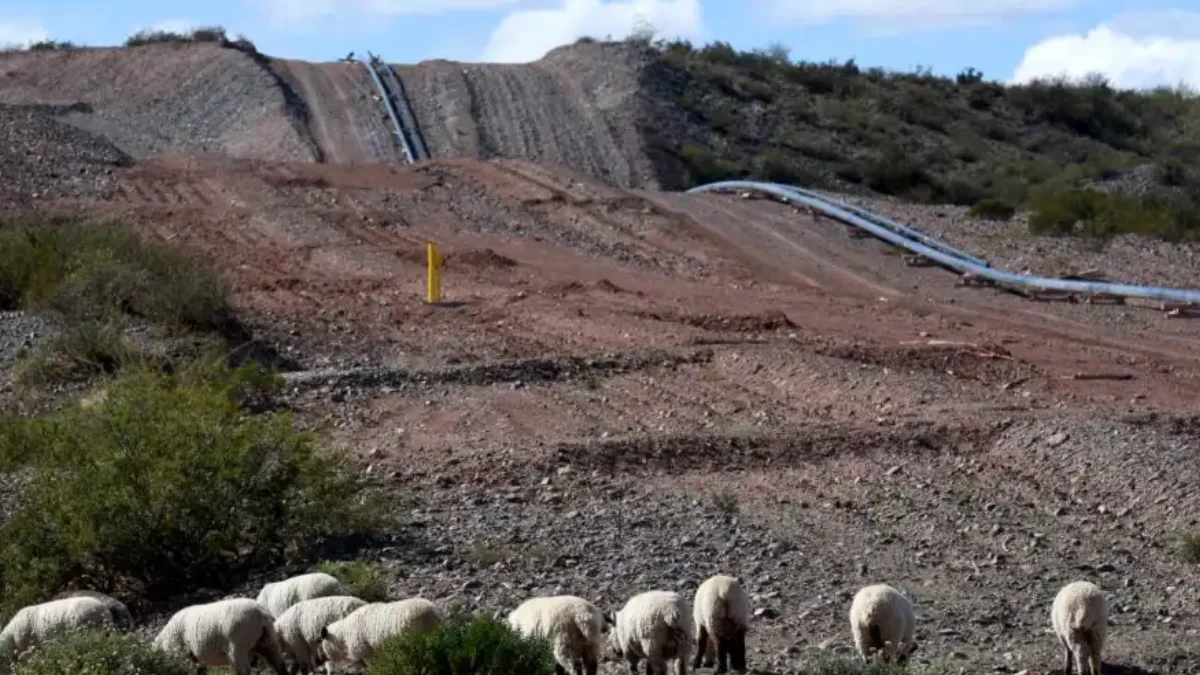 El objetivo de la iniciativa es abastecer las exportaciones de gas natural licuado (GNL) del proyecto que impulsa Southern Energy. (Foto archivo Matías Subat)