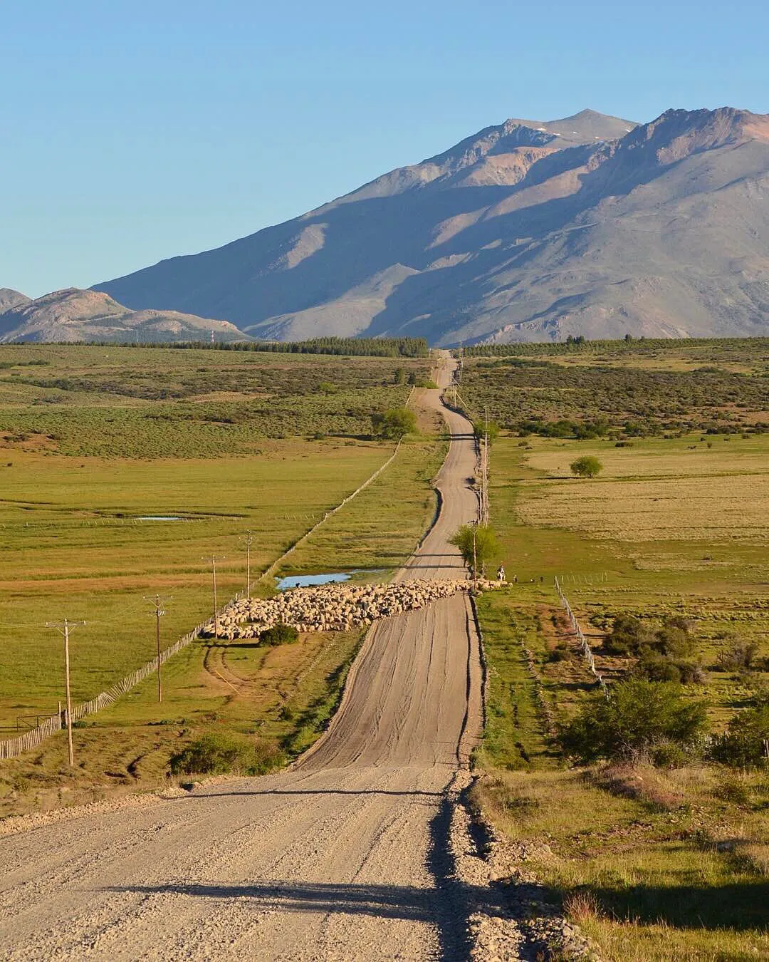 Camino al Percy