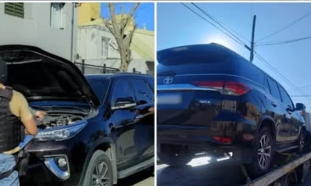 Camioneta gemela