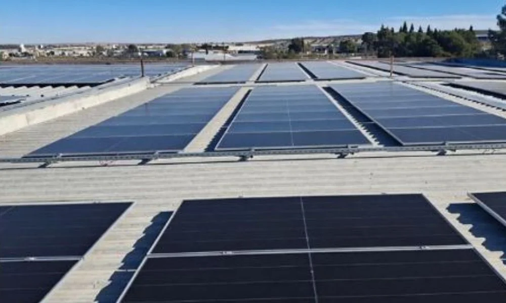 Paneles solares en las empresas locales