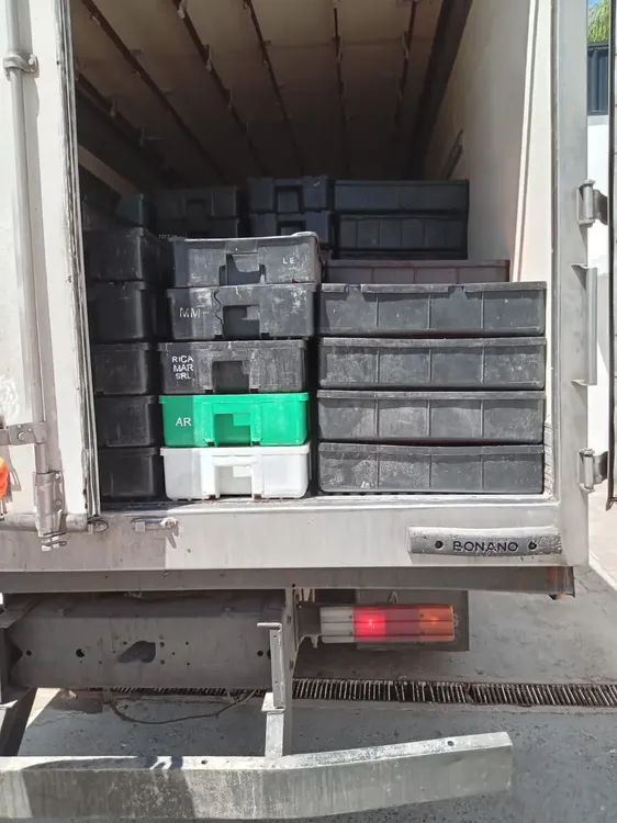 se decomiso carga ilegal de langostinos