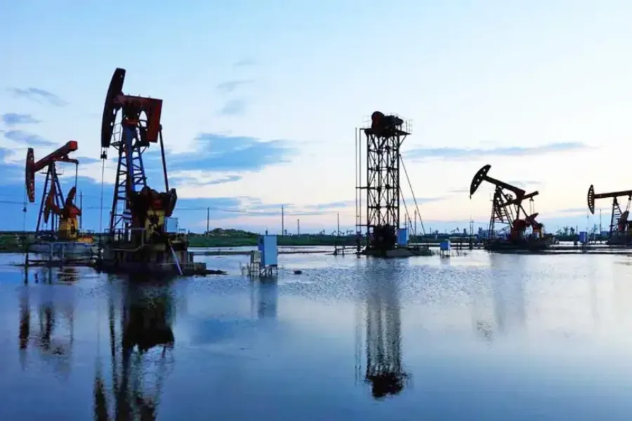Petroleo
