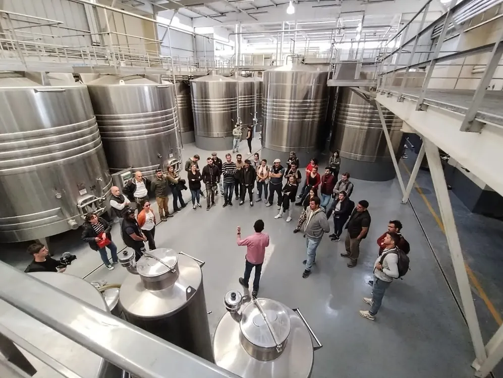 Formación en Enología en Mendoza: Impulso a la Industria Vitivinícola Chubutense