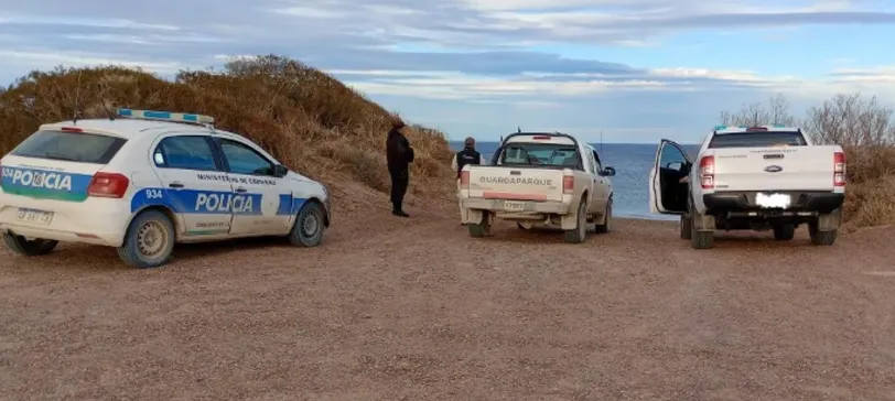 HOMBRE MULTADO POR NADAR CON BALLENAS EN EL DORADILLO