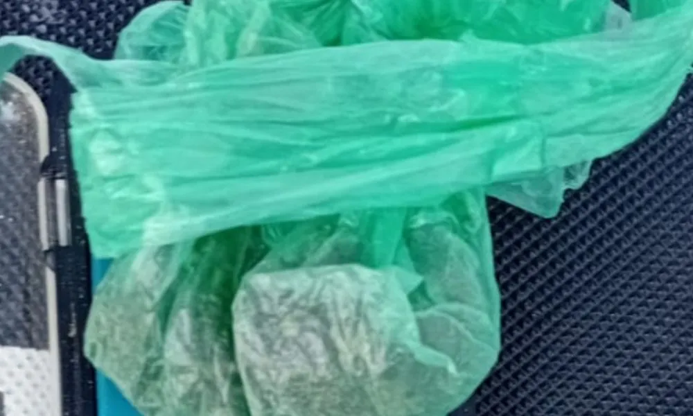 Secuestro de marihuana en Comodoro