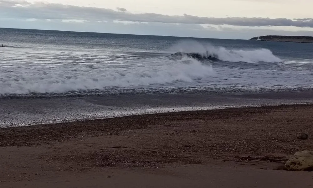 Temporal de viento en la costa de Madryn foto gentileza Adrián Escalante