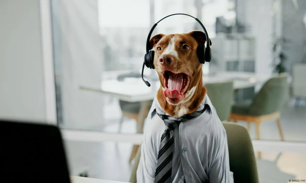 Perros que hablan (1)