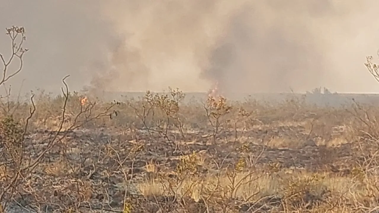 incendio Madryn viernes 1