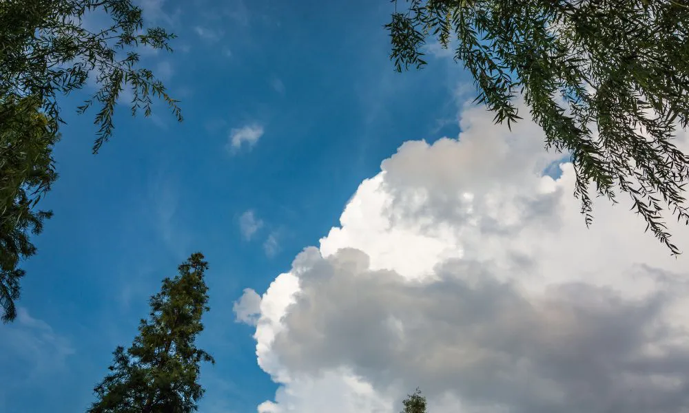 Nubosidad variable y ráfagas