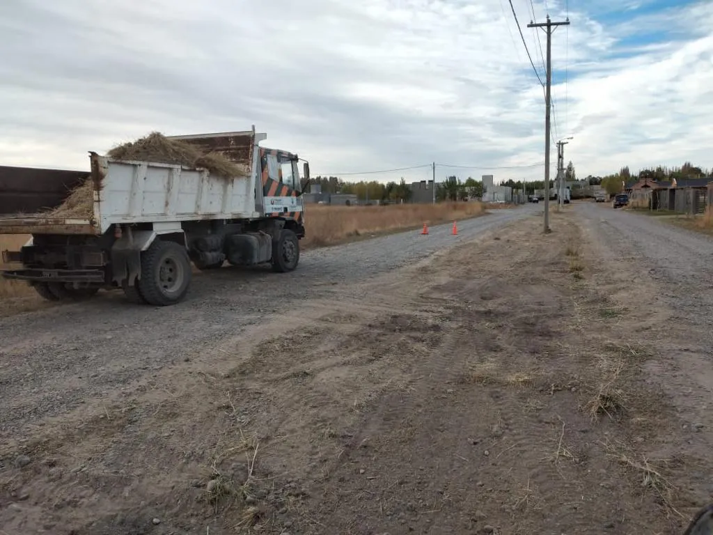 Foto limpieza municipalidad de Trelew