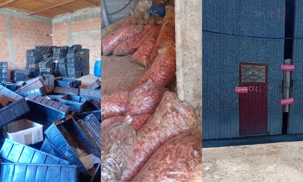 Pescadería clandestina en Trelew