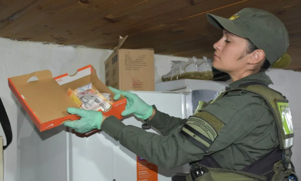 Allanamiento en Malargüe termina con la detención de una mujer vinculada a una red de narcotráfico