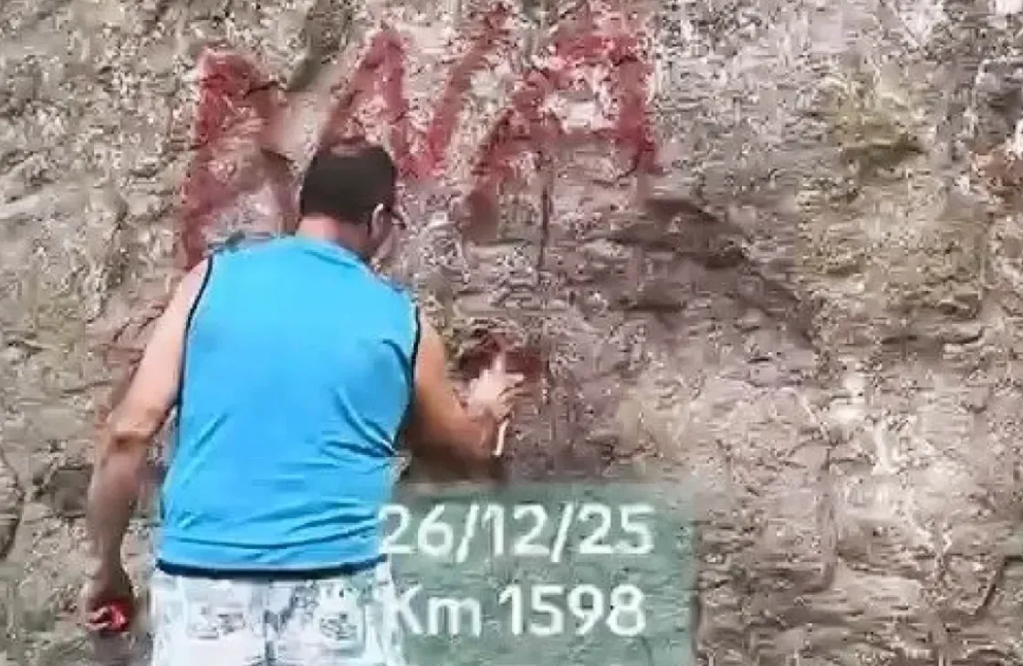 camionero vandalo