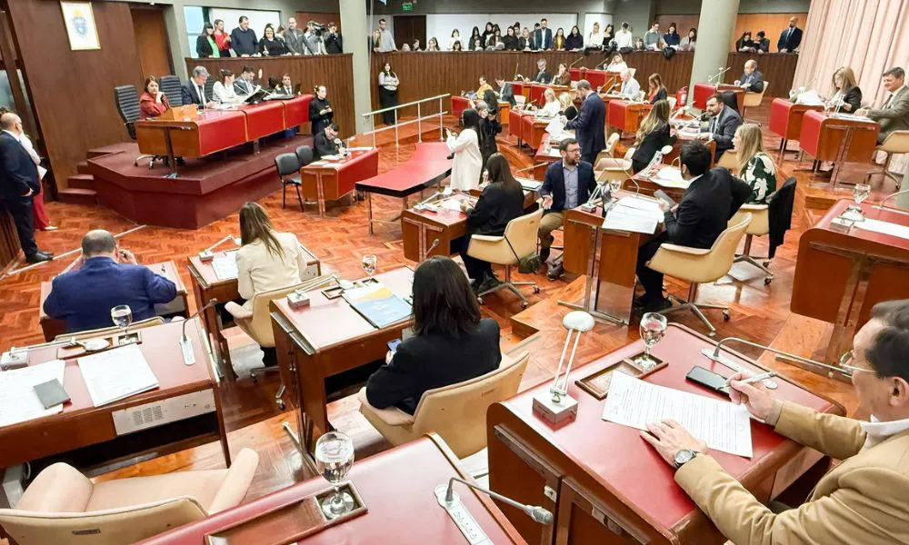 Legislatura del Chubut 2025