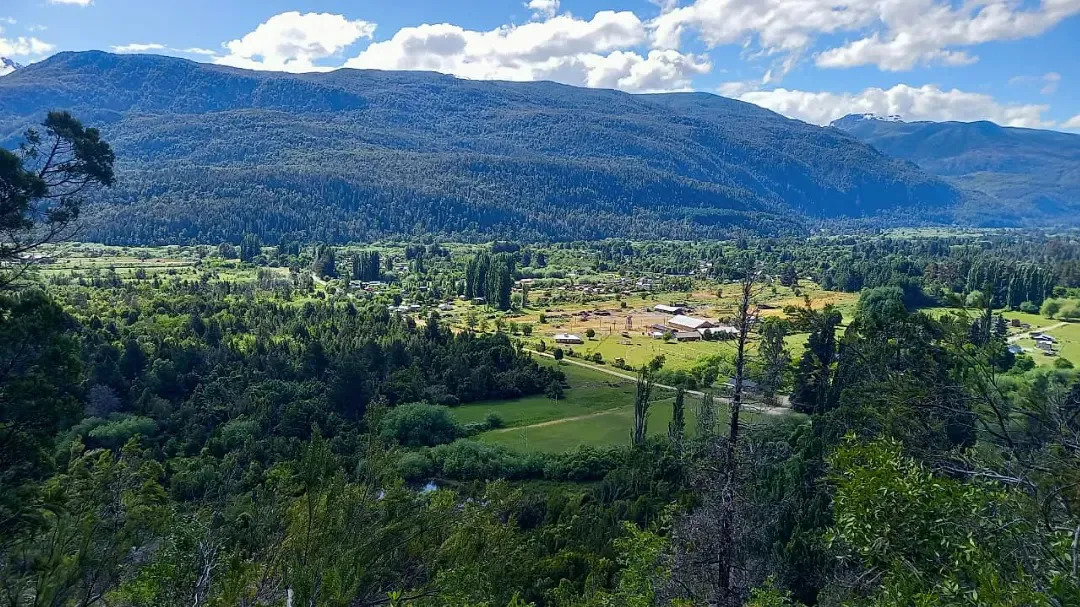 Bosques en Lago Puelo