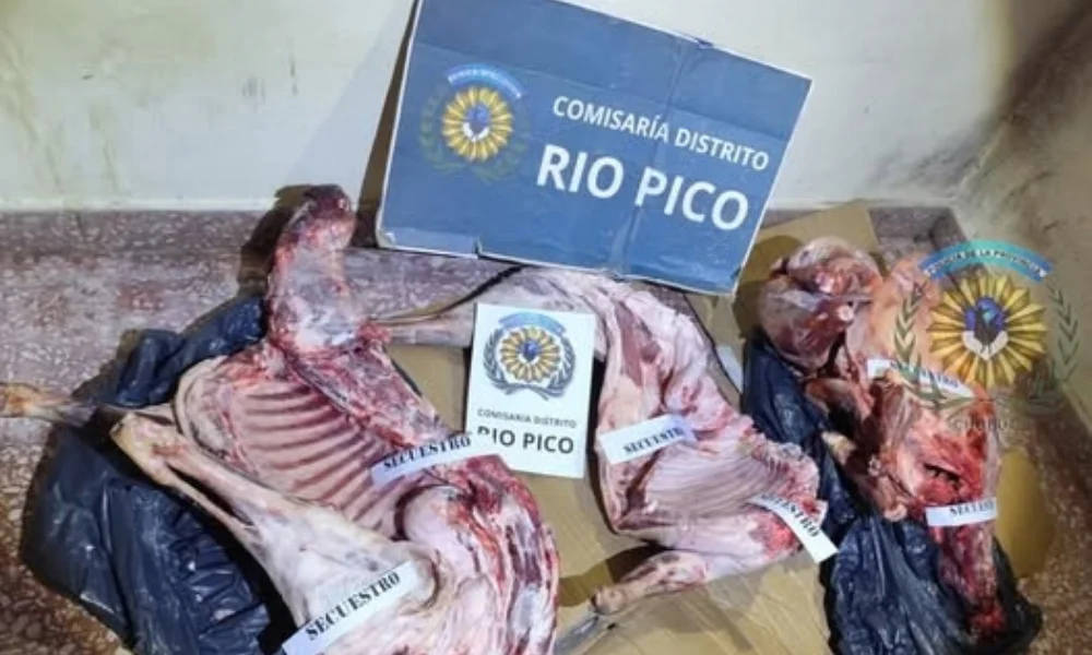 el conductor fue escoltado hasta la dependencia policial de Río Pico para continuar con el procedimiento.