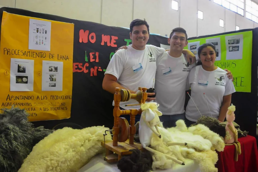 Desarrollo Emprendedor 2026