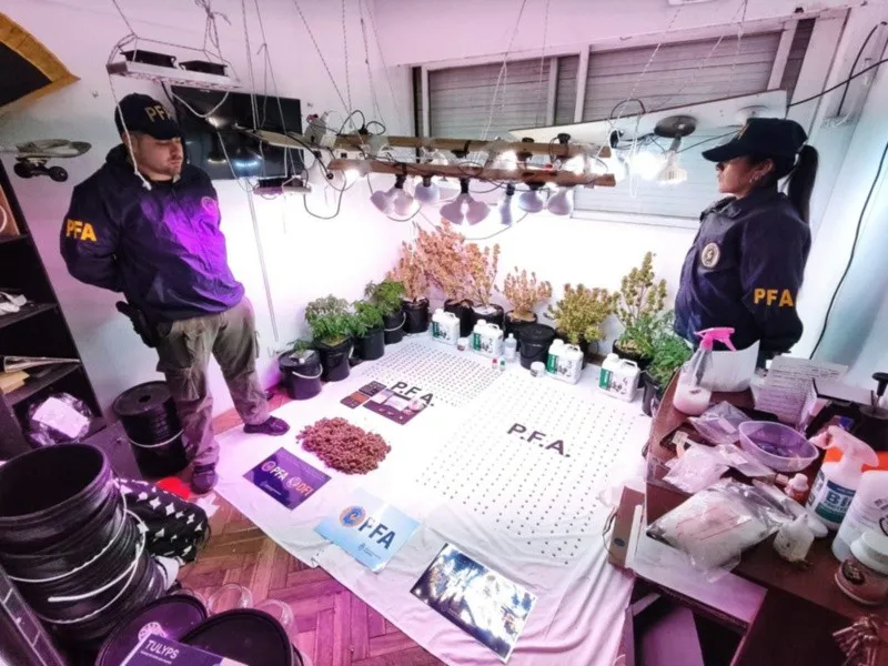 Allanamiento Extasis