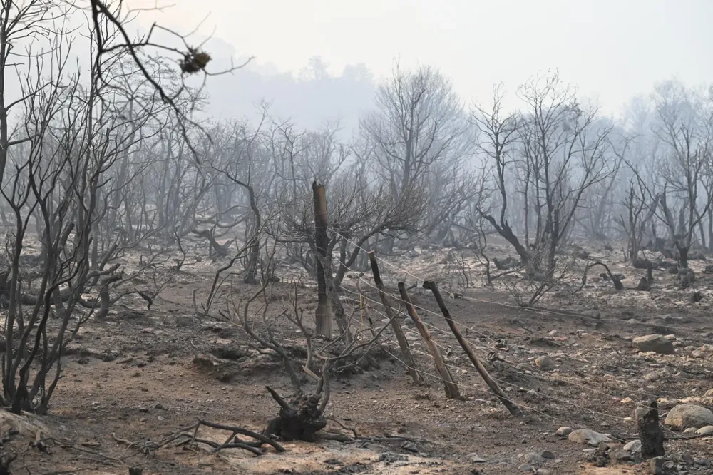 Siguen combatiendo el incendio en los Alerces