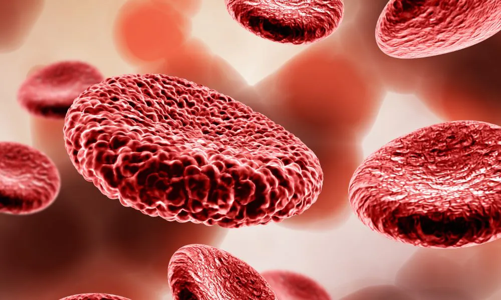 Glóbulos rojos