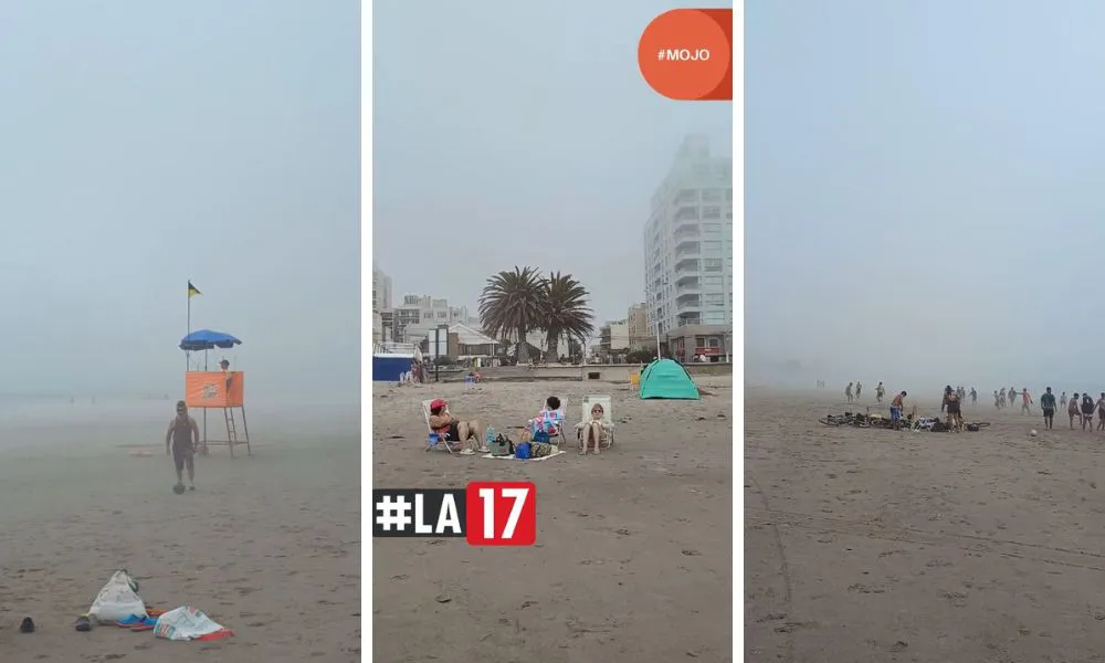 verano 2025 humedad en Madryn