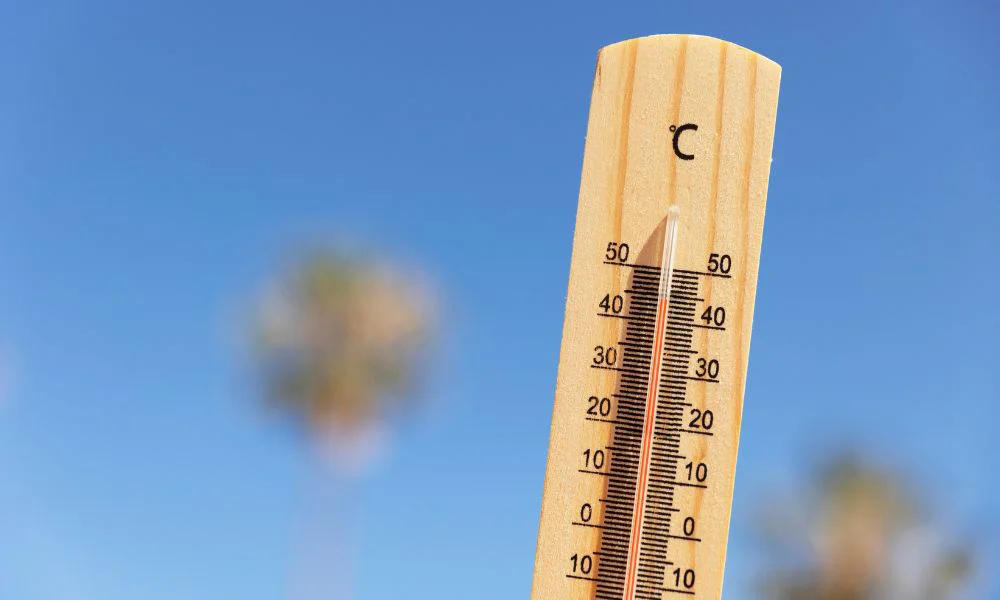 Calor extremo. Foto Magnific