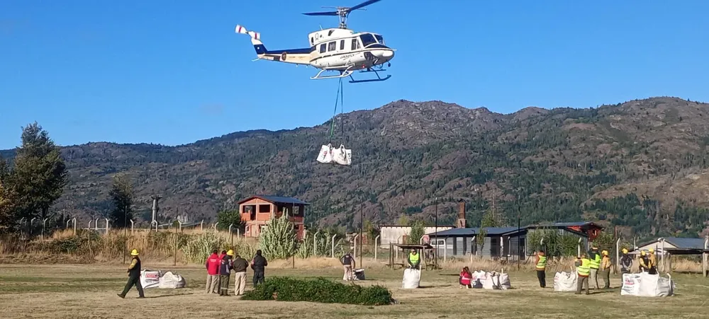 reforestacion el turbio