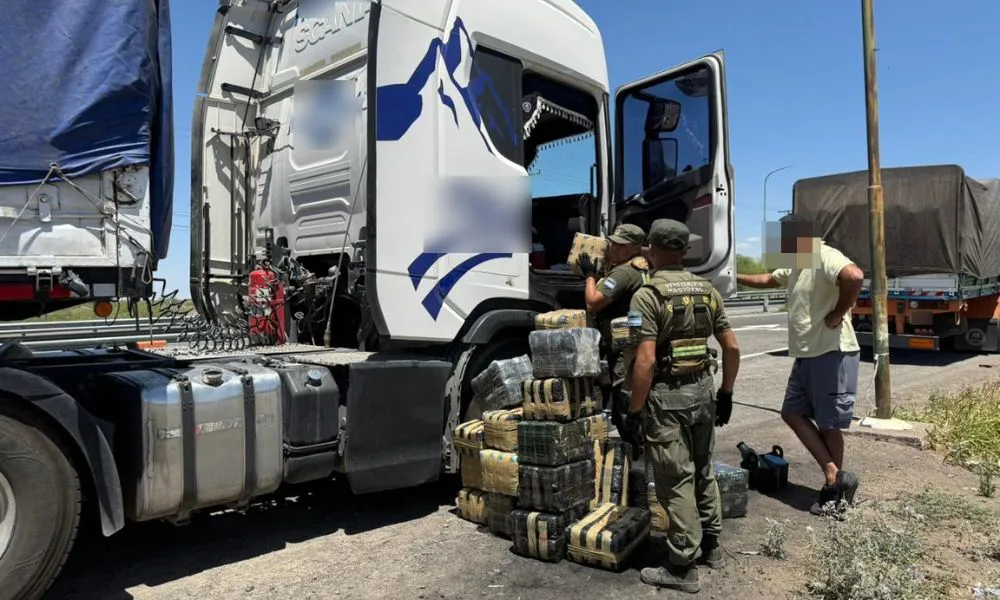 Secuestran más de 300 kilos de hojas de coca en un camión que iba a Chile