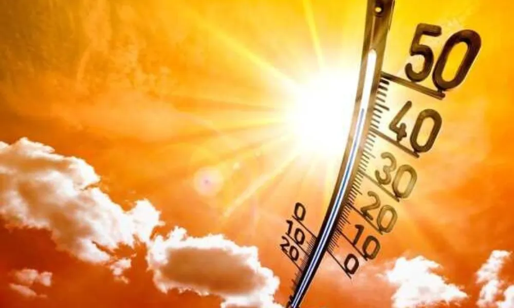 Ola de calor