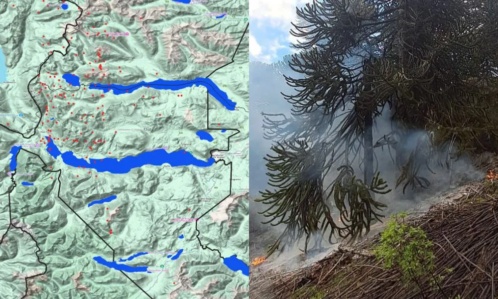 Incendio en el Parque Lanín