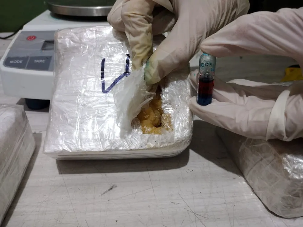 Cocaína incautada en Salta