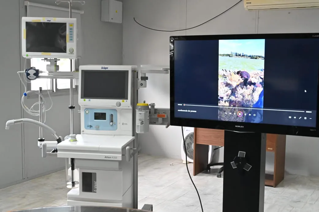 WhatsApp Image 2024-04-05 at 18.58.14