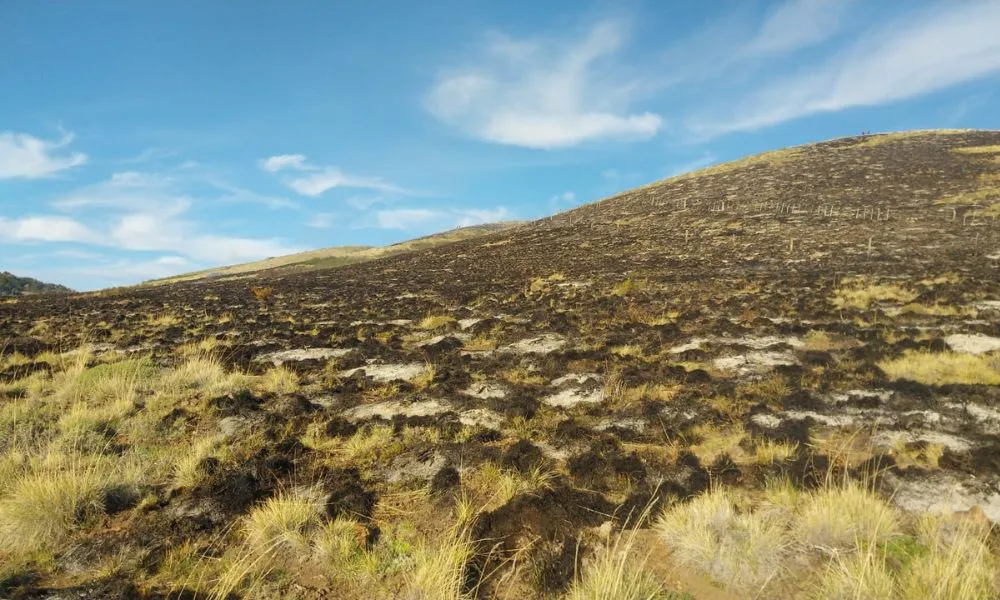 Incendio cordillera 28 de octubre 2