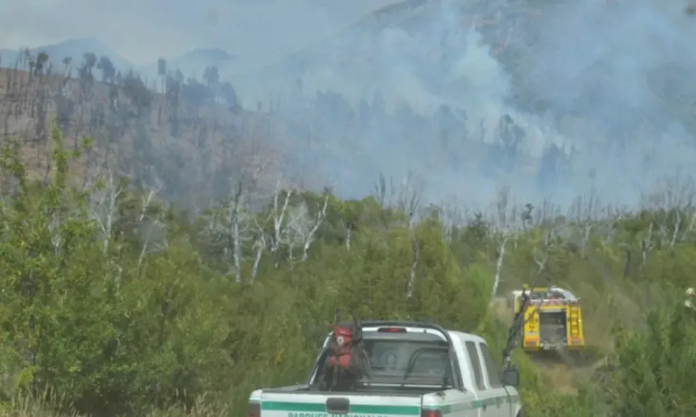 Incendio Los Alerces