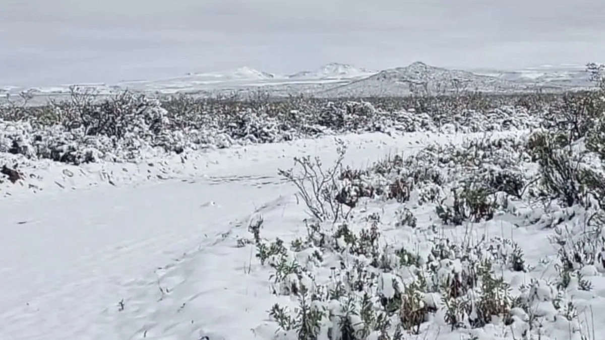Nevada en la Pampa foto Diario La Arena
