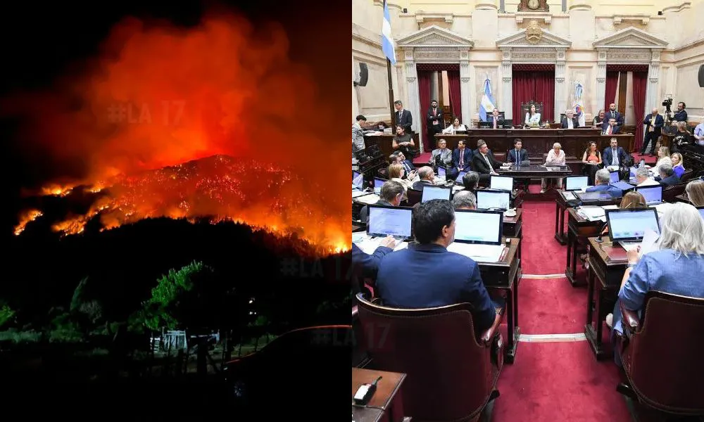 Pryecto de emergencia por incendios